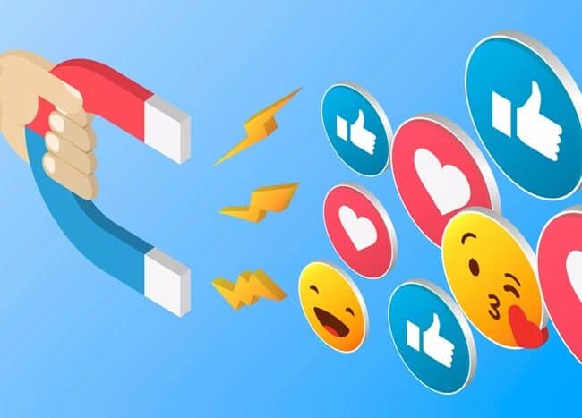 Social Media Management